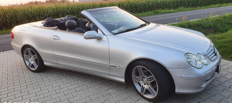 Mercedes-Benz CLK cena 30500 przebieg: 231000, rok produkcji 2003 z Turek małe 16